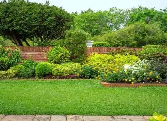 landscaping services St. George Island